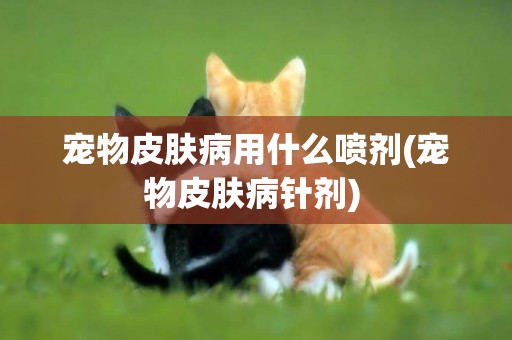 寵物皮膚病用什么噴劑(寵物皮膚病針劑) 