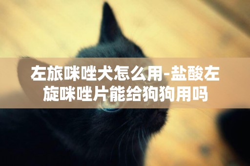 左旅咪唑犬怎么用-鹽酸左旋咪唑片能給狗狗用嗎