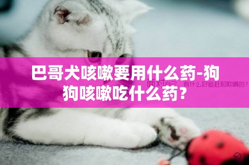 巴哥犬咳嗽要用什么藥-狗狗咳嗽吃什么藥？