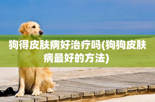 狗得皮膚病好治療嗎(狗狗皮膚病最好的方法) 