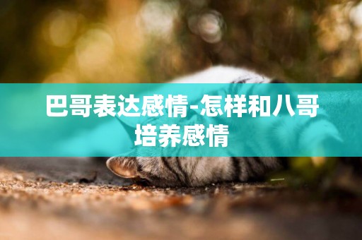 巴哥表達感情-怎樣和八哥培養感情