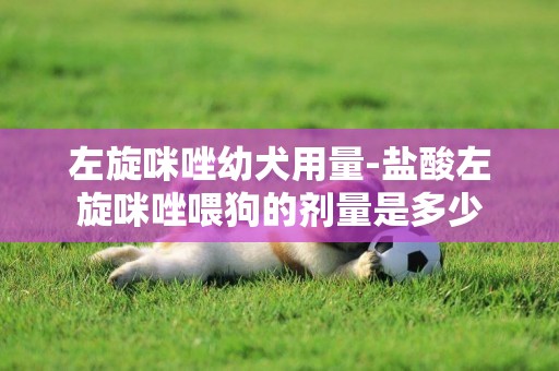 左旋咪唑幼犬用量-鹽酸左旋咪唑喂狗的劑量是多少