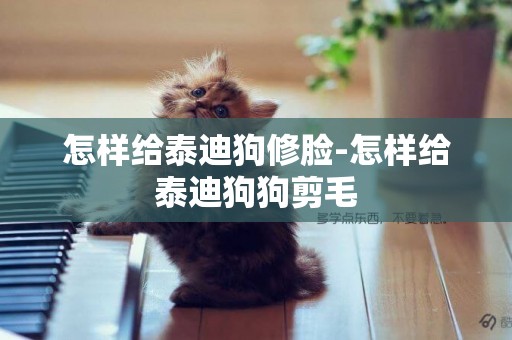 怎樣給泰迪狗修臉-怎樣給泰迪狗狗剪毛