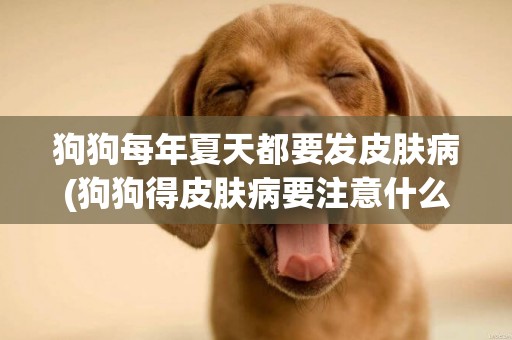 狗狗每年夏天都要發皮膚病(狗狗得皮膚病要注意什么) 
