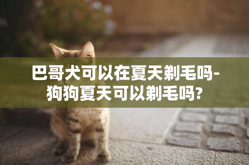 巴哥犬可以在夏天剃毛嗎-狗狗夏天可以剃毛嗎?