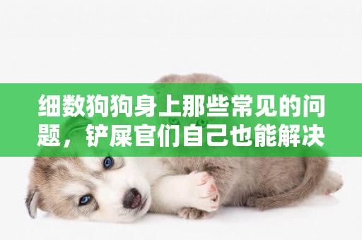 細數狗狗身上那些常見的問題，鏟屎官們自己也能解決，不用再求人 