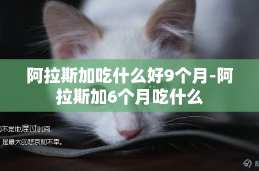 阿拉斯加吃什么好9個月-阿拉斯加6個月吃什么
