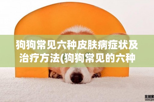 狗狗常見六種皮膚病癥狀及治療方法(狗狗常見的六種皮膚病以及癥狀表現) 