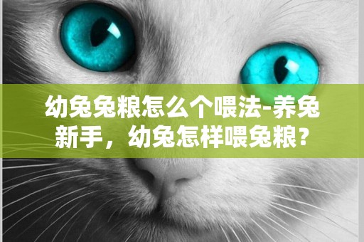 幼兔兔糧怎么個喂法-養兔新手，幼兔怎樣喂兔糧？