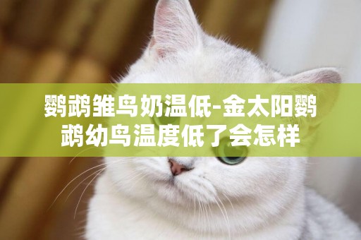鸚鵡雛鳥奶溫低-金太陽鸚鵡幼鳥溫度低了會怎樣
