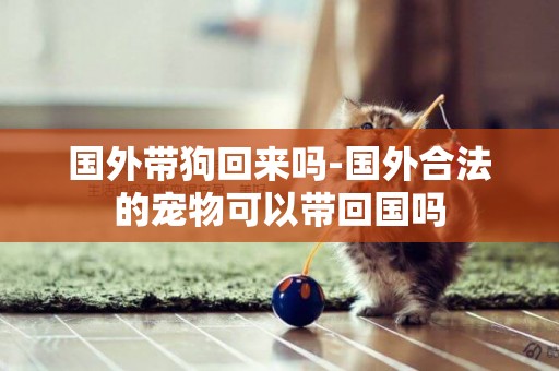 國外帶狗回來嗎-國外合法的寵物可以帶回國嗎