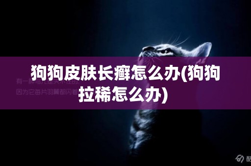 狗狗皮膚長癬怎么辦(狗狗拉稀怎么辦) 
