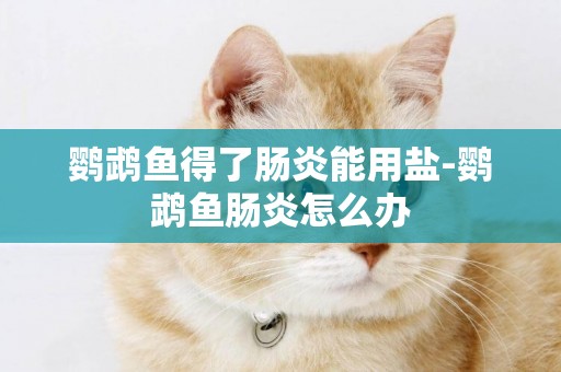 鸚鵡魚得了腸炎能用鹽-鸚鵡魚腸炎怎么辦