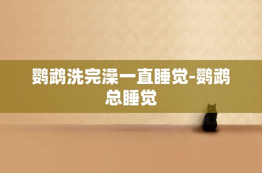 鸚鵡洗完澡一直睡覺-鸚鵡總睡覺