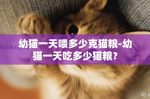 幼貓一天喂多少克貓糧-幼貓一天吃多少貓糧？