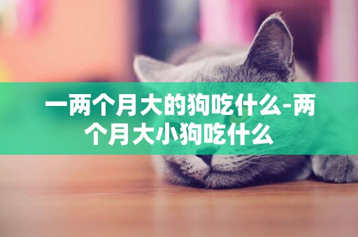 一兩個月大的狗吃什么-兩個月大小狗吃什么