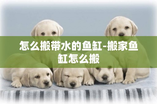 怎么搬帶水的魚缸-搬家魚缸怎么搬