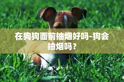 在狗狗面前抽煙好嗎-狗會抽煙嗎？