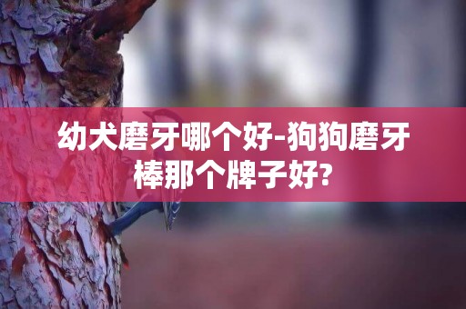 幼犬磨牙哪個好-狗狗磨牙棒那個牌子好?