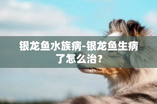 銀龍魚水族病-銀龍魚生病了怎么治？