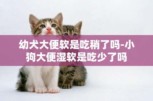 幼犬大便軟是吃稍了嗎-小狗大便濕軟是吃少了嗎