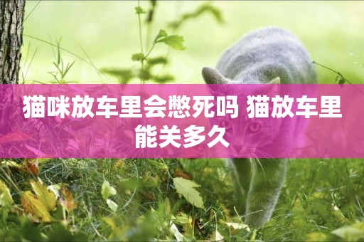 貓咪放車里會憋死嗎 貓放車里能關多久