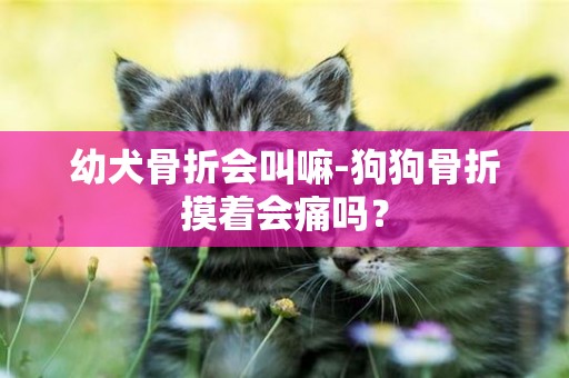 幼犬骨折會叫嘛-狗狗骨折摸著會痛嗎？