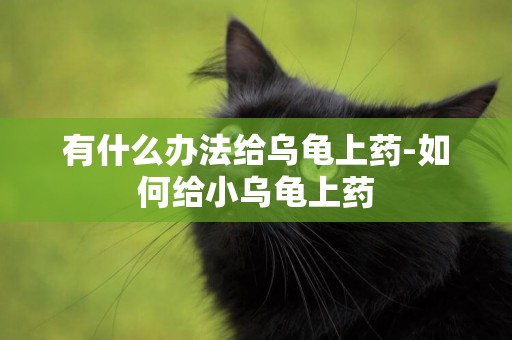 有什么辦法給烏龜上藥-如何給小烏龜上藥