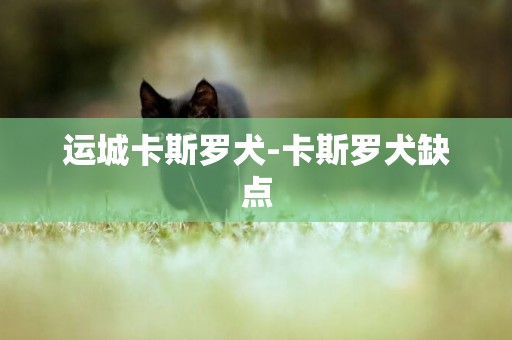 運城卡斯羅犬-卡斯羅犬缺點
