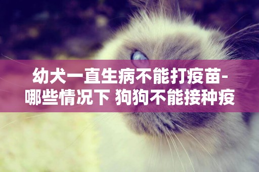 幼犬一直生病不能打疫苗-哪些情況下 狗狗不能接種疫苗？