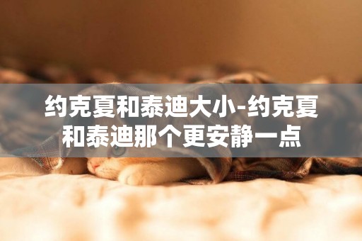 約克夏和泰迪大小-約克夏和泰迪那個更安靜一點