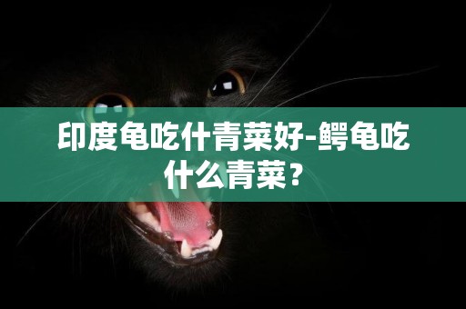印度龜吃什青菜好-鱷龜吃什么青菜？