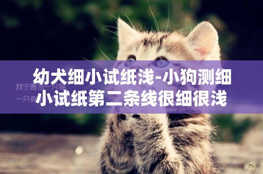 幼犬細小試紙淺-小狗測細小試紙第二條線很細很淺