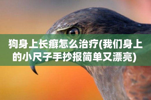 狗身上長癬怎么治療(我們身上的小尺子手抄報簡單又漂亮) 