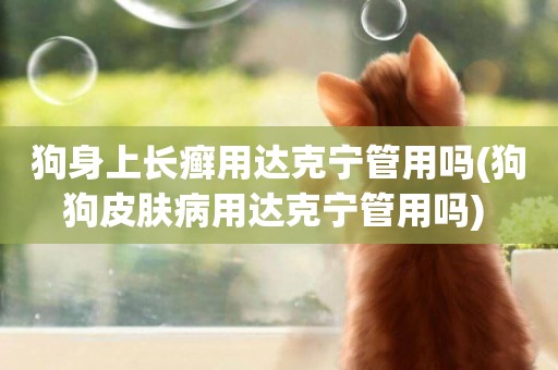 狗身上長癬用達克寧管用嗎(狗狗皮膚病用達克寧管用嗎) 