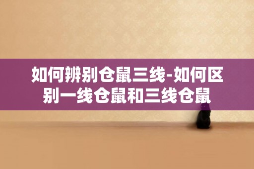 如何辨別倉鼠三線-如何區別一線倉鼠和三線倉鼠