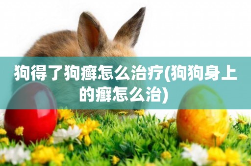 狗得了狗癬怎么治療(狗狗身上的癬怎么治) 