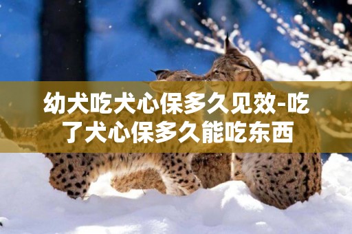 幼犬吃犬心保多久見效-吃了犬心保多久能吃東西