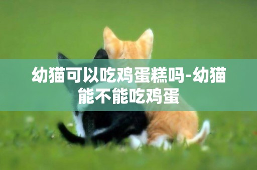 幼貓可以吃雞蛋糕嗎-幼貓能不能吃雞蛋