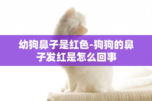 幼狗鼻子是紅色-狗狗的鼻子發紅是怎么回事