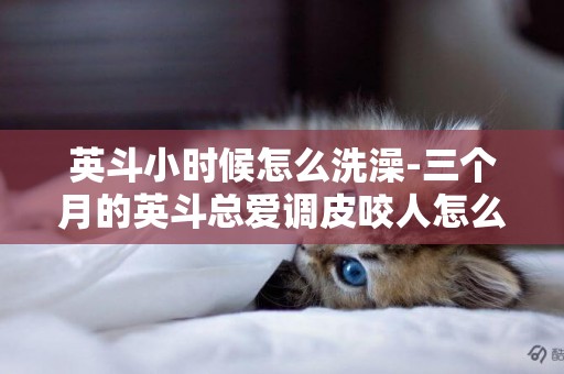 英斗小時候怎么洗澡-三個月的英斗總愛調皮咬人怎么辦