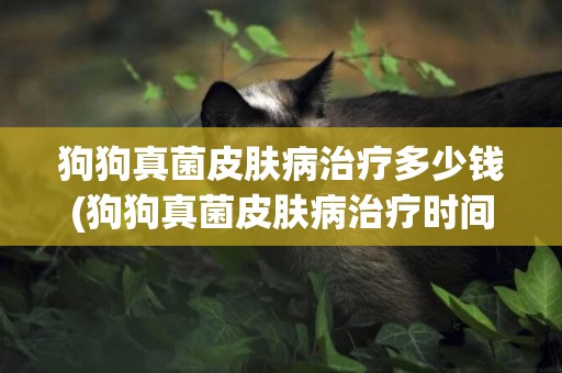 狗狗真菌皮膚病治療多少錢(狗狗真菌皮膚病治療時間) 