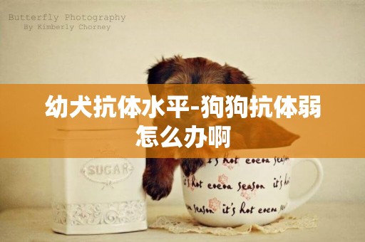 幼犬抗體水平-狗狗抗體弱怎么辦啊