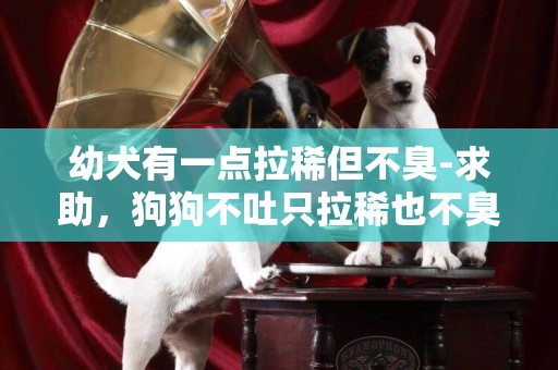 幼犬有一點拉稀但不臭-求助，狗狗不吐只拉稀也不臭，狗狗不吐只拉稀精神好