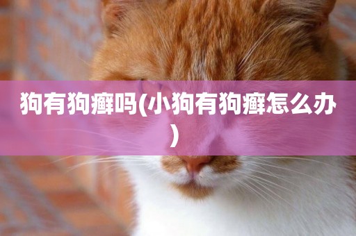 狗有狗癬嗎(小狗有狗癬怎么辦) 