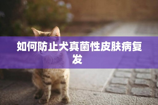 如何防止犬真菌性皮膚病復發 