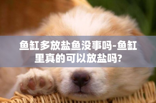 魚缸多放鹽魚沒事嗎-魚缸里真的可以放鹽嗎?