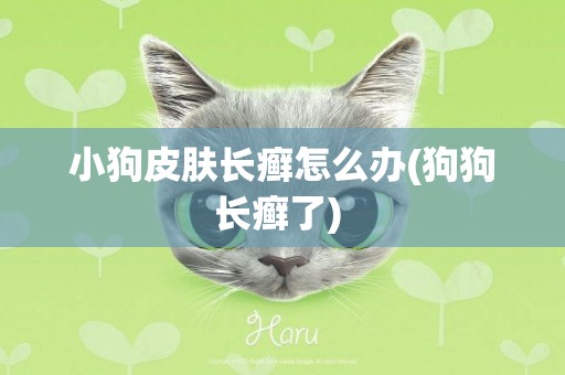 小狗皮膚長癬怎么辦(狗狗長癬了) 