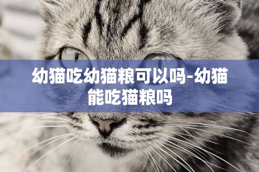 幼貓吃幼貓糧可以嗎-幼貓能吃貓糧嗎