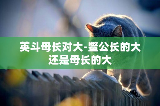 英斗母長對大-鱉公長的大還是母長的大